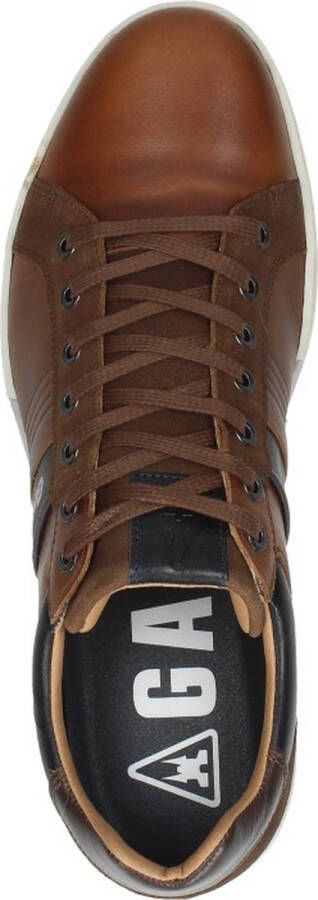 Gaastra -Heren cogna caramel sneakers