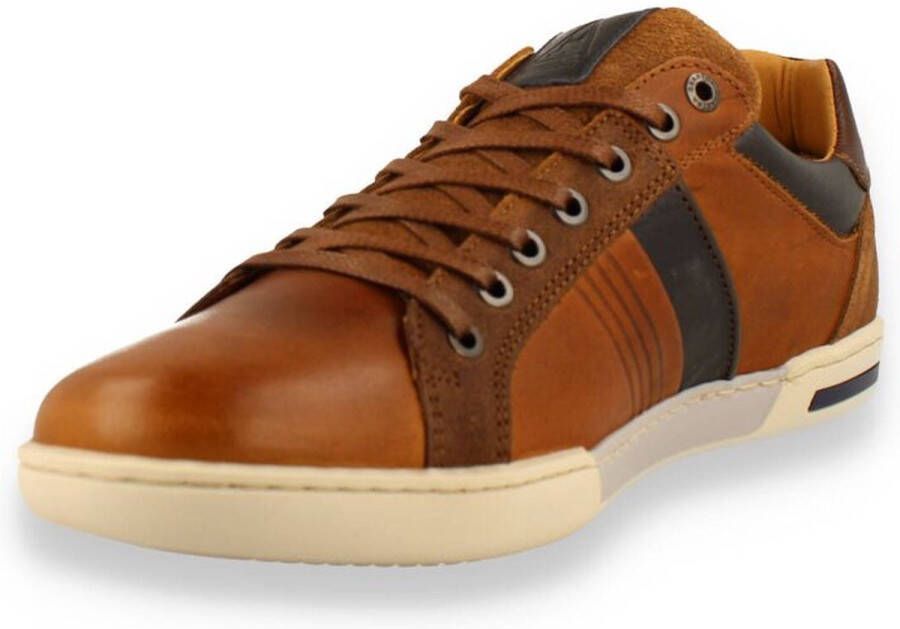 Gaastra -Heren cogna caramel sneakers