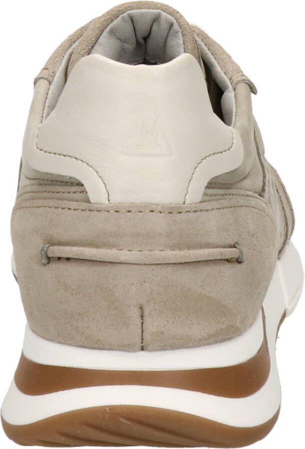 Gaastra Orion BSC heren sneaker Sand