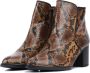 Gabor Whisky Bruine Reptiel Look Enkellaars Multicolor Dames - Thumbnail 3