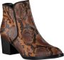 Gabor Whisky Bruine Reptiel Look Enkellaars Multicolor Dames - Thumbnail 6