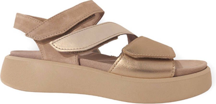 Gabor Dames Sandalen 22.862.80 Beige