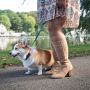Gabylou XL laarzen voor brede kuiten Model Olivia. Lt Beige - Thumbnail 6