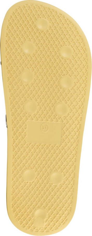 Gap Flip-Flop Slide Female Blue Slippers
