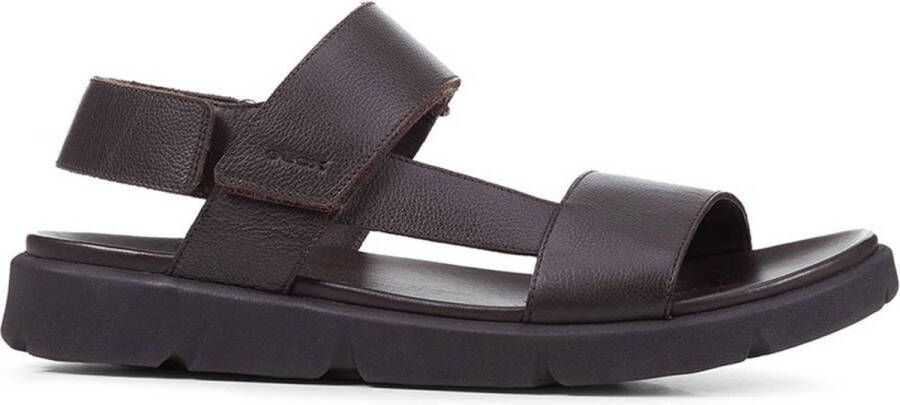 GEOX Xand 2s Sandalen Bruin Man