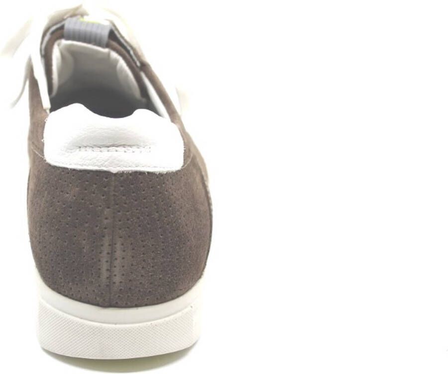 Gijs 2055 K taupe witte accenten sneaker Kleur Taupe)