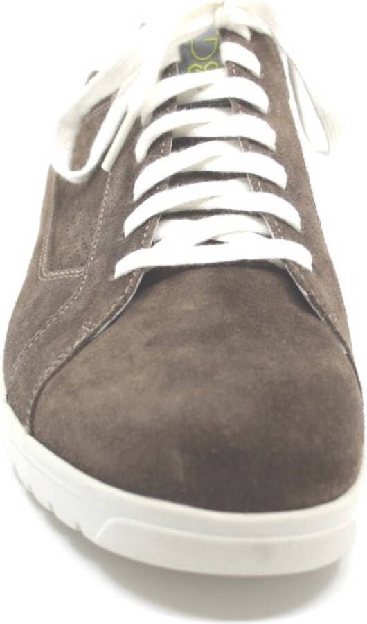 Gijs 2055 K taupe witte accenten sneaker Kleur Taupe)