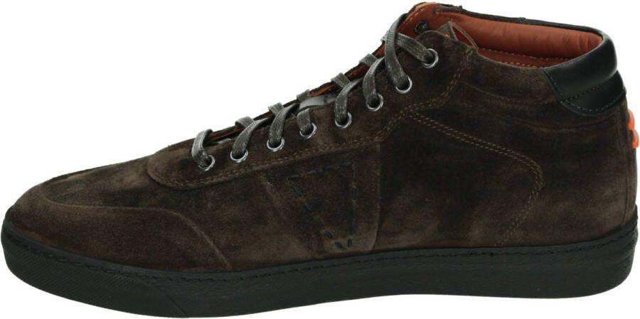 Greve Heren Hoge sneakers Umbria Bruin