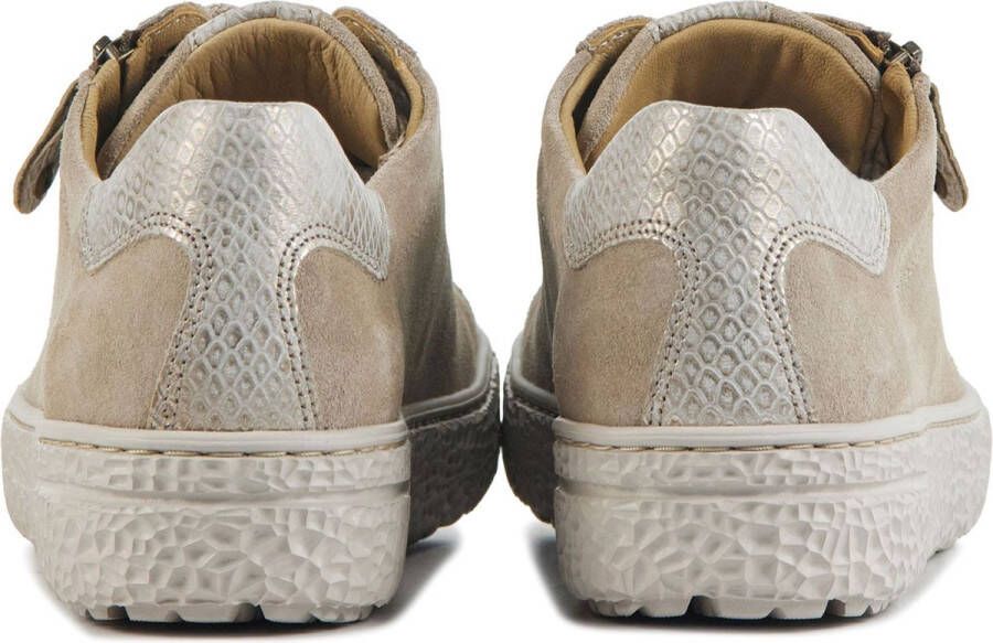 Hartjes Dames Veterschoenen Phil Shoe Birke-gold Beige