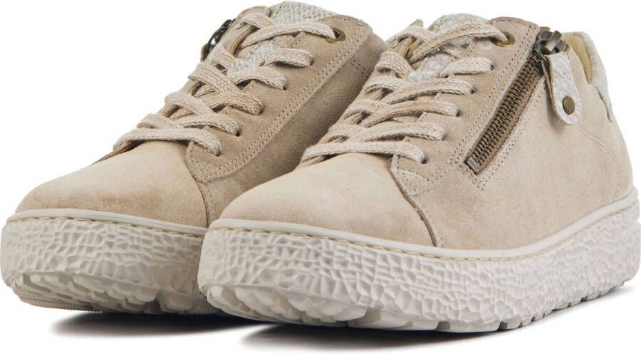 Hartjes Dames Veterschoenen Phil Shoe Birke-gold Beige