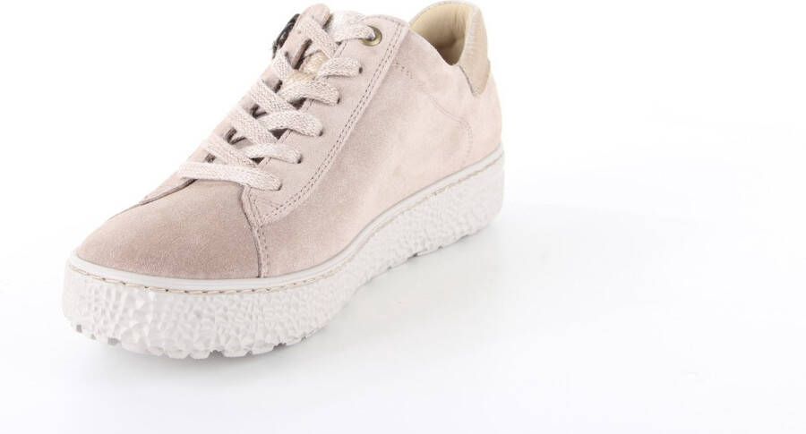 Hartjes Dames Veterschoenen Phil Shoe Birke-gold Beige