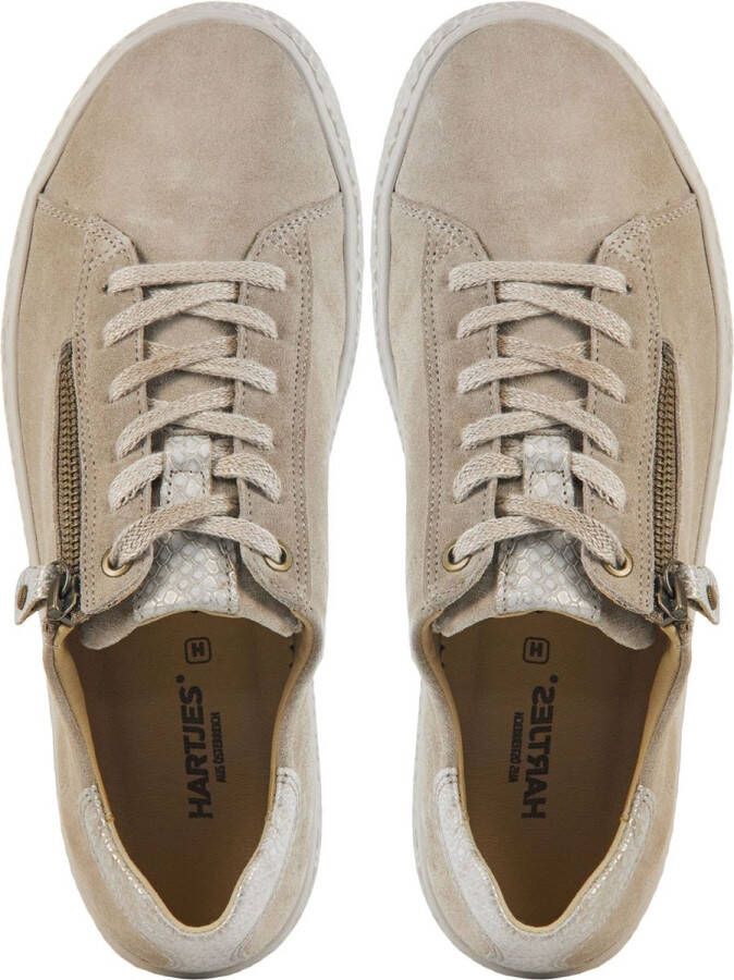 Hartjes Dames Veterschoenen Phil Shoe Birke-gold Beige