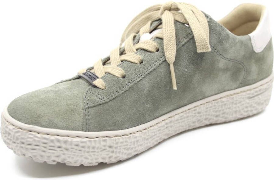 Hartjes Dames Veterschoenen Phil Shoe Taupe Khaki