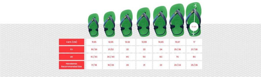 Havaianas Slippers Vrouwen