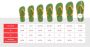 Havaianas Top unisex Slides & Sandalen zwart Schoenen - Thumbnail 12