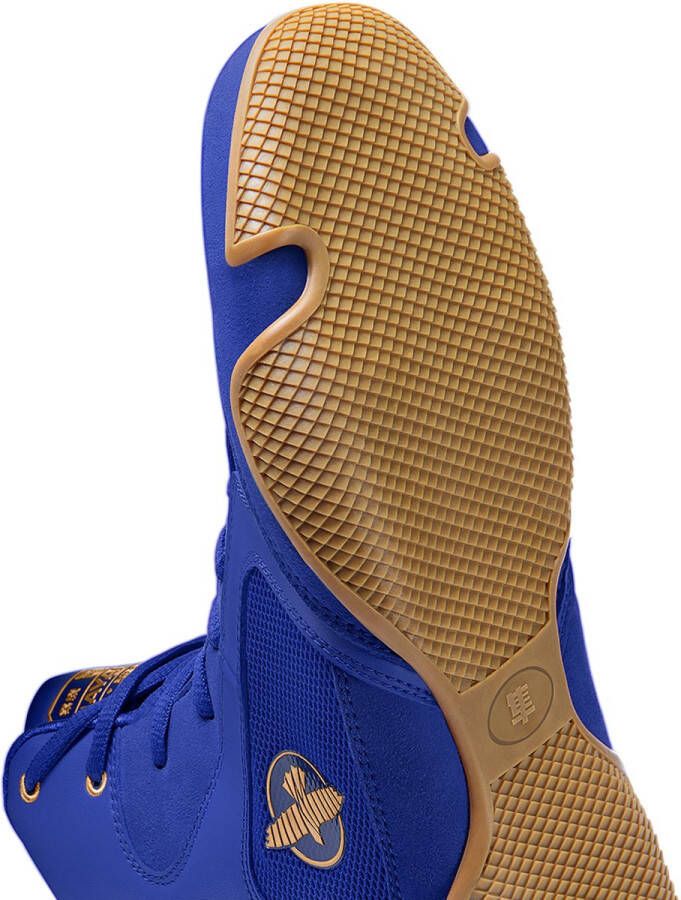 Hayabusa Pro Boksschoenen Blauw