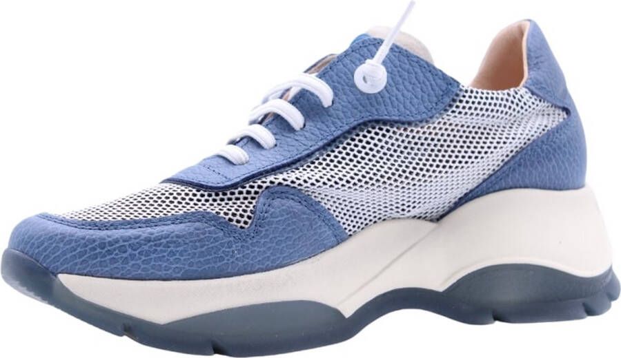 Hispanitas Sneaker Blue