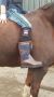 Horka Outdoorlaarzen Greenwich Junior Leer suède Blauw - Thumbnail 16