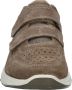 Hush Puppies Heren Sneaker BEIGE - Thumbnail 7