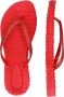 Ilse Jacobsen Vrouwen Rubber 80005056 Teenslipper cheerful01 Rood - Thumbnail 13