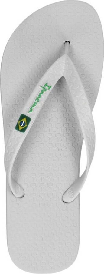 Ipanema Classic Brasil Slippers Heren Grey