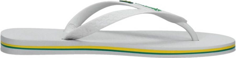 Ipanema Classic Brasil Slippers Heren Grey