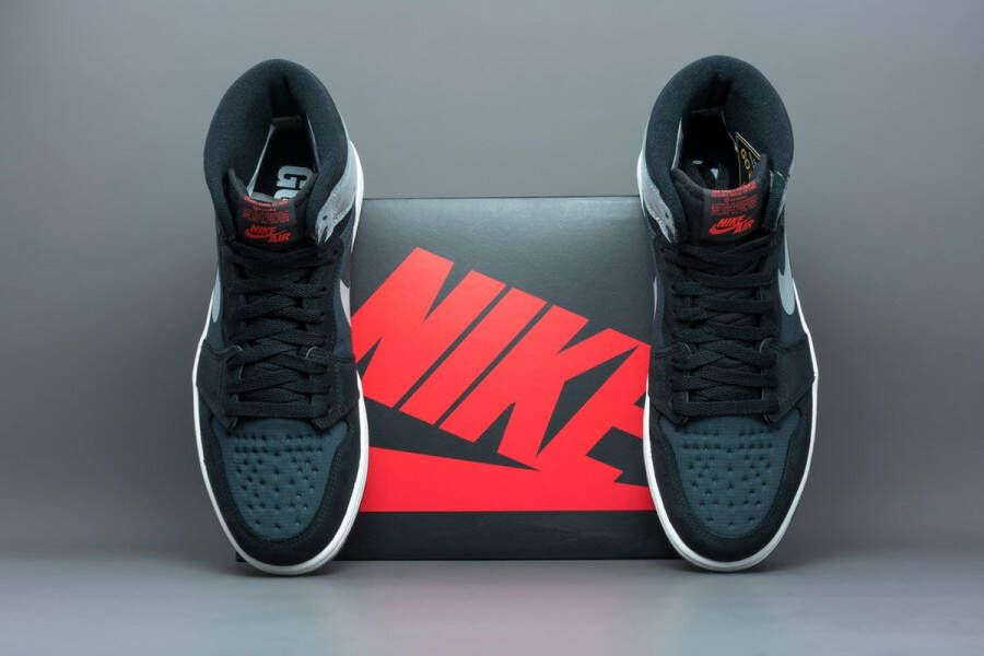Jordan Nike Air 1 Retro High Element Gore-Tex Black Particle Grey DB2889
