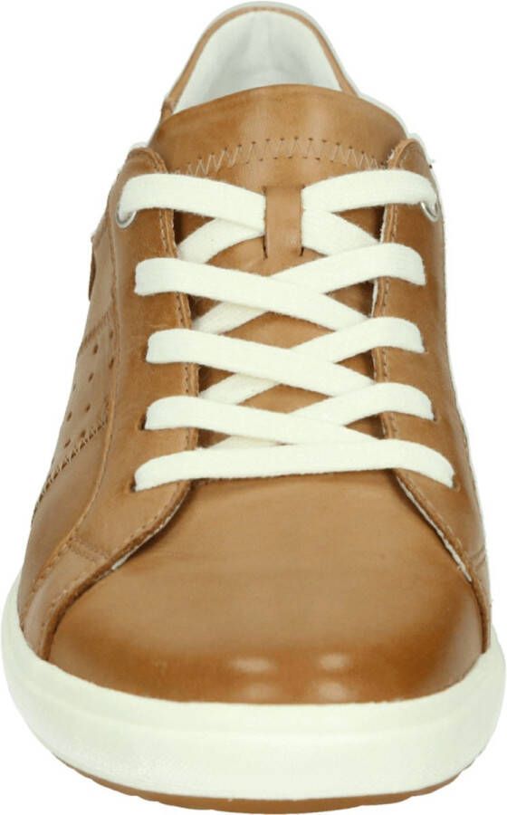 Josef Seibel CAREN 01 Lage sneakersDames sneakers Cognac