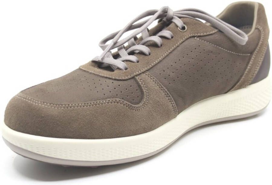 Joya SVEN BROWN 244sne Bruin nubuck heren sneakers met schokdempende zolen