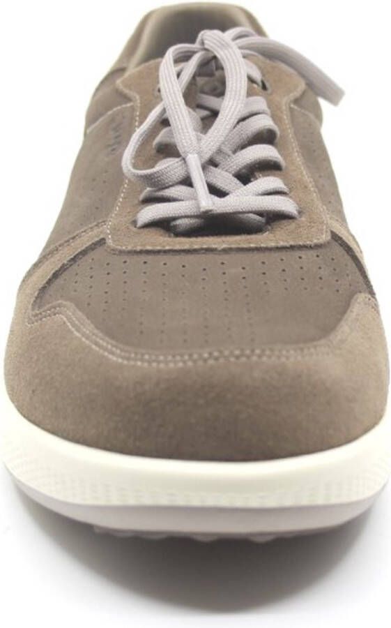 Joya SVEN BROWN 244sne Bruin nubuck heren sneakers met schokdempende zolen