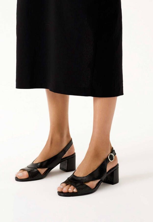 Kazar Black leather sandals on a wide heel