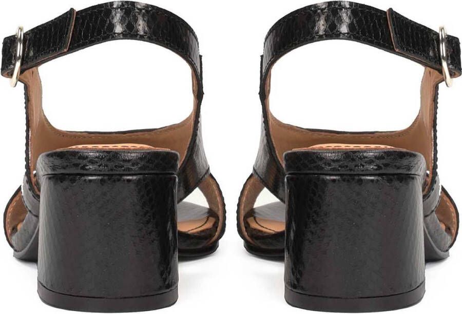 Kazar Black leather sandals on a wide heel