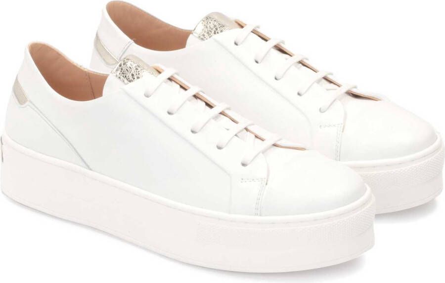 Kazar Leather sneakers with golden elements