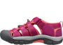 Keen Newport H2 Jr 1014267 voor Roze Sandalen - Thumbnail 13