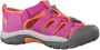 Keen Newport H2 Jr 1014267 voor Roze Sandalen - Thumbnail 47