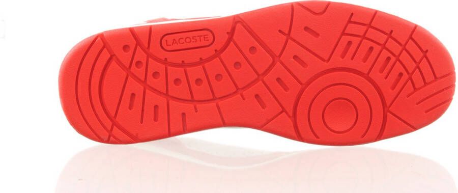 Lacoste herensneaker tclip rood