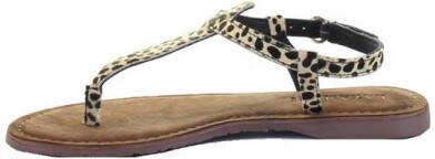 Lazamani Dames Sandalen 75.611 Dalmatian