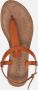 Lazamani Leren Sandalen met Gouden Gesp Brown Dames - Thumbnail 14