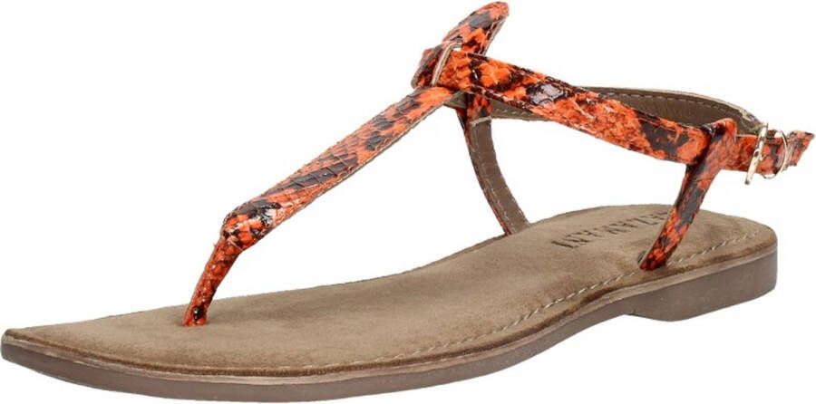 Lazamani Dames sandalen Trendy oranje