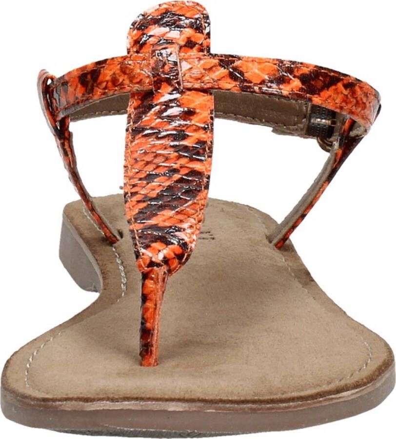 Lazamani Dames sandalen Trendy oranje