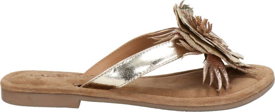 Lazamani Dames Slippers 33.518 Gold