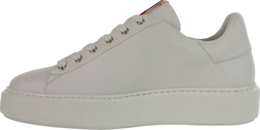 Linkkens Brabant Skyline sneaker