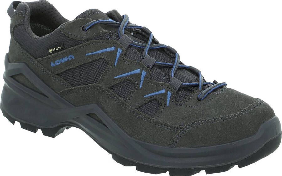 Lowa Evo GTX Lo Wandelschoenen Mannen