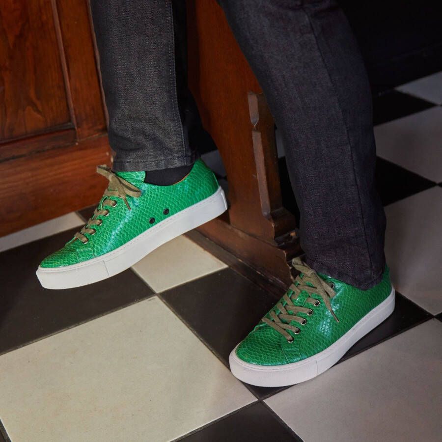 Lureaux Green Froggy Sneaker Kleurrijke Schoenen Voor Heren Veterschoenen Met Print