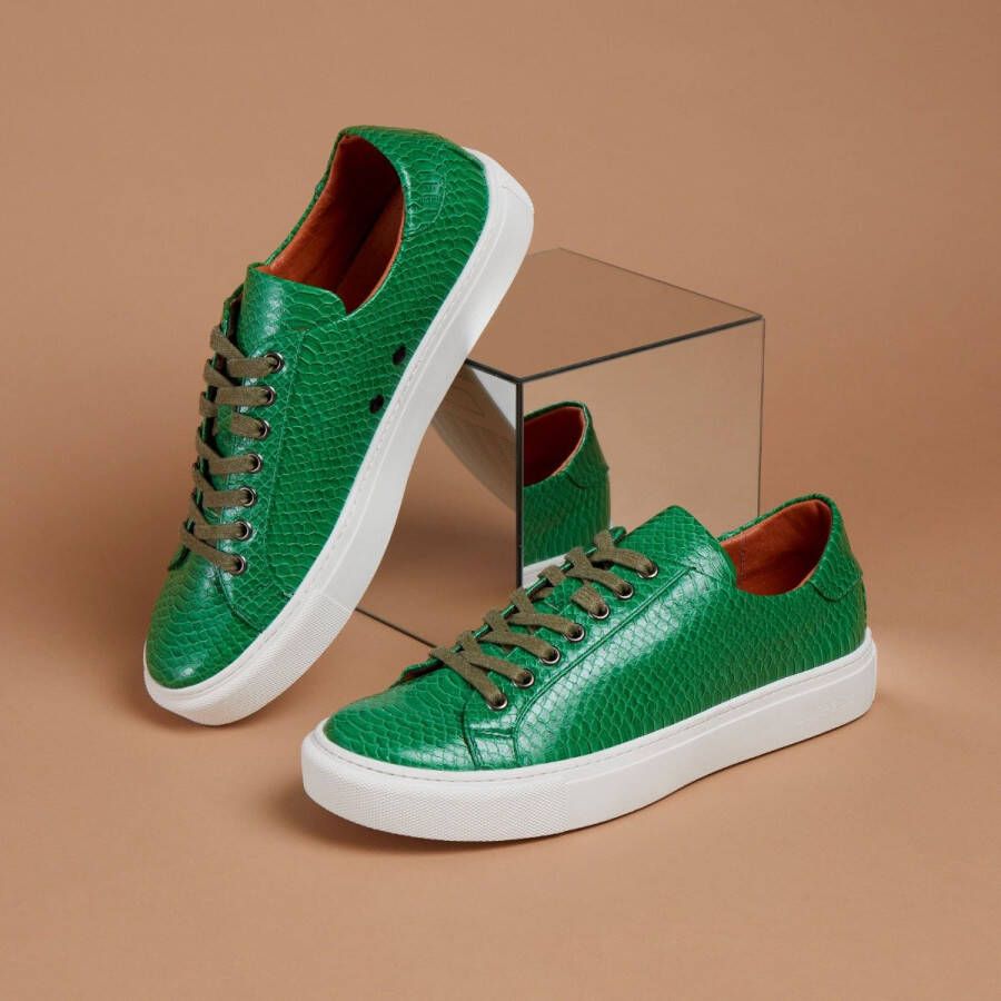 Lureaux Green Froggy Sneaker Kleurrijke Schoenen Voor Heren Veterschoenen Met Print