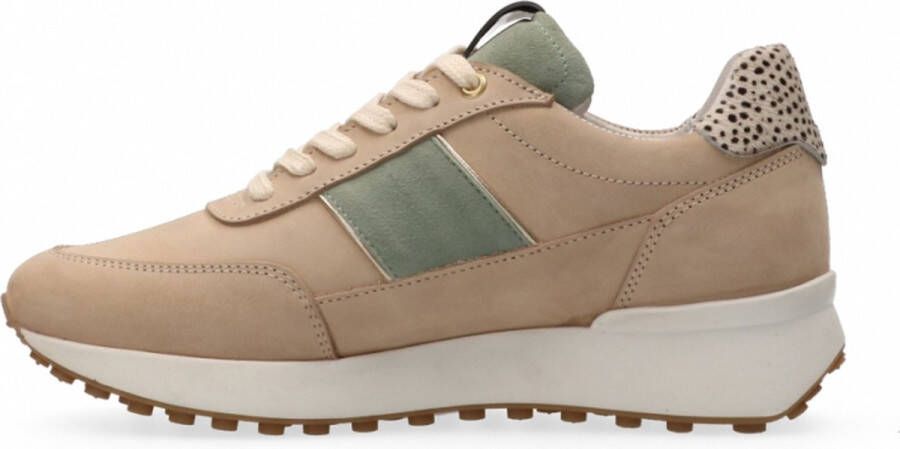 Maruti Lois Sneakers Bruin Beige Green