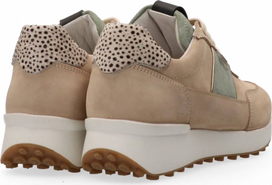 Maruti Lois Sneakers Bruin Beige Green
