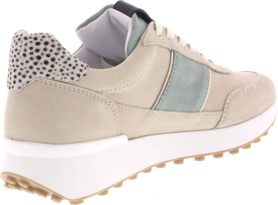 Maruti Lois Sneakers Bruin Beige Green