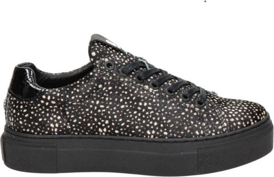 Maruti Ted Sneakers Pixel Black