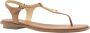 Michael Kors Plate Thong Dames Sandalen Bruin - Thumbnail 8